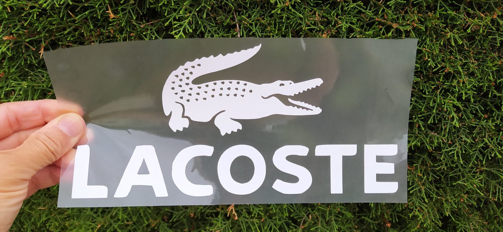 Lacoste Iron-on Sticker (heat transfer) - Image 4