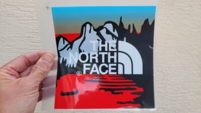The North Face Big Color Logo