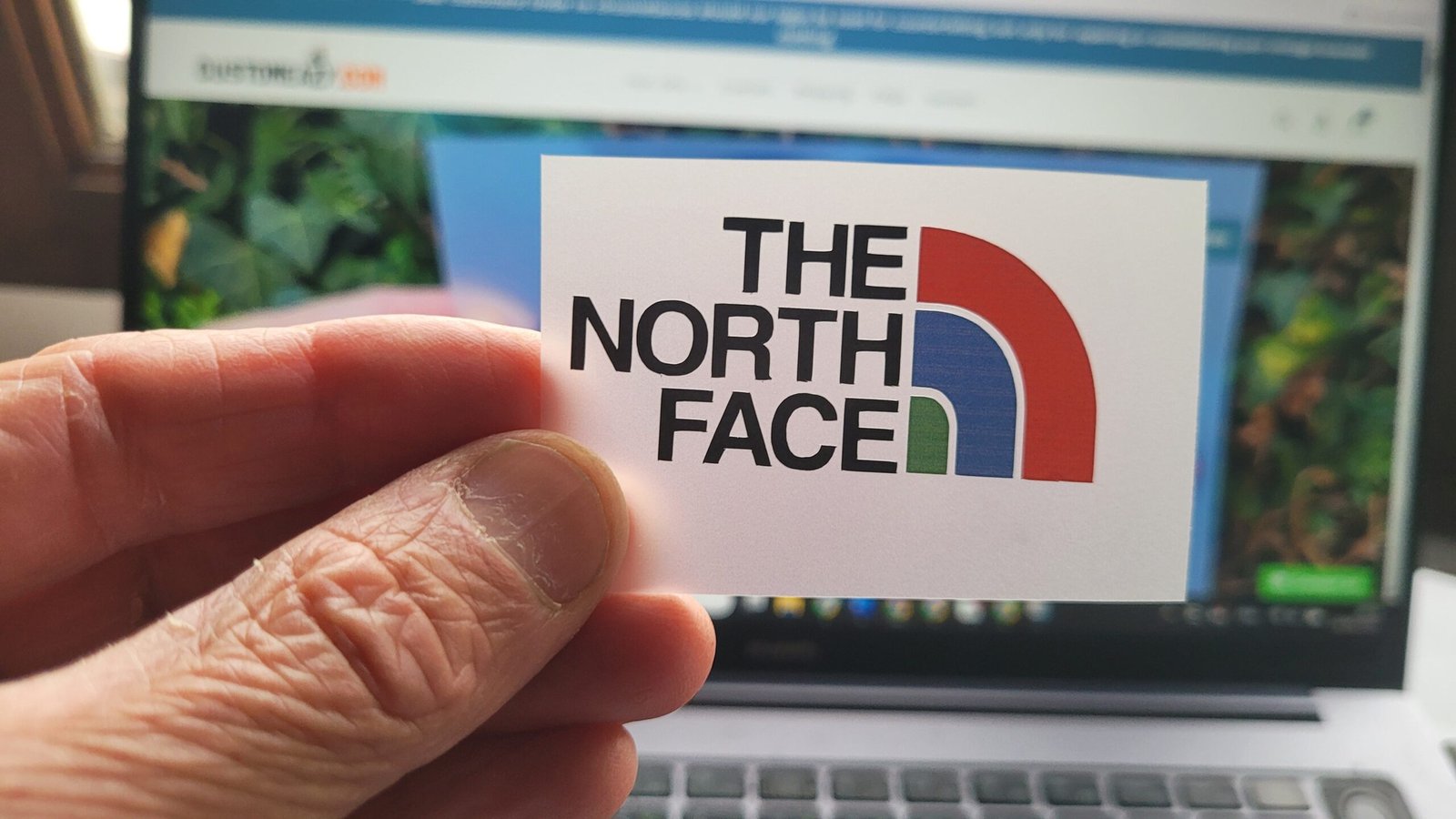 North Face colored Logo Iron-on (heat transfer)