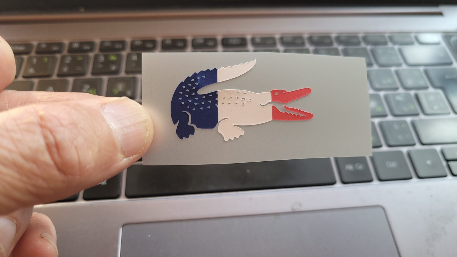 Lacoste flag colored Logo Iron-on (heat transfer) - Image 5