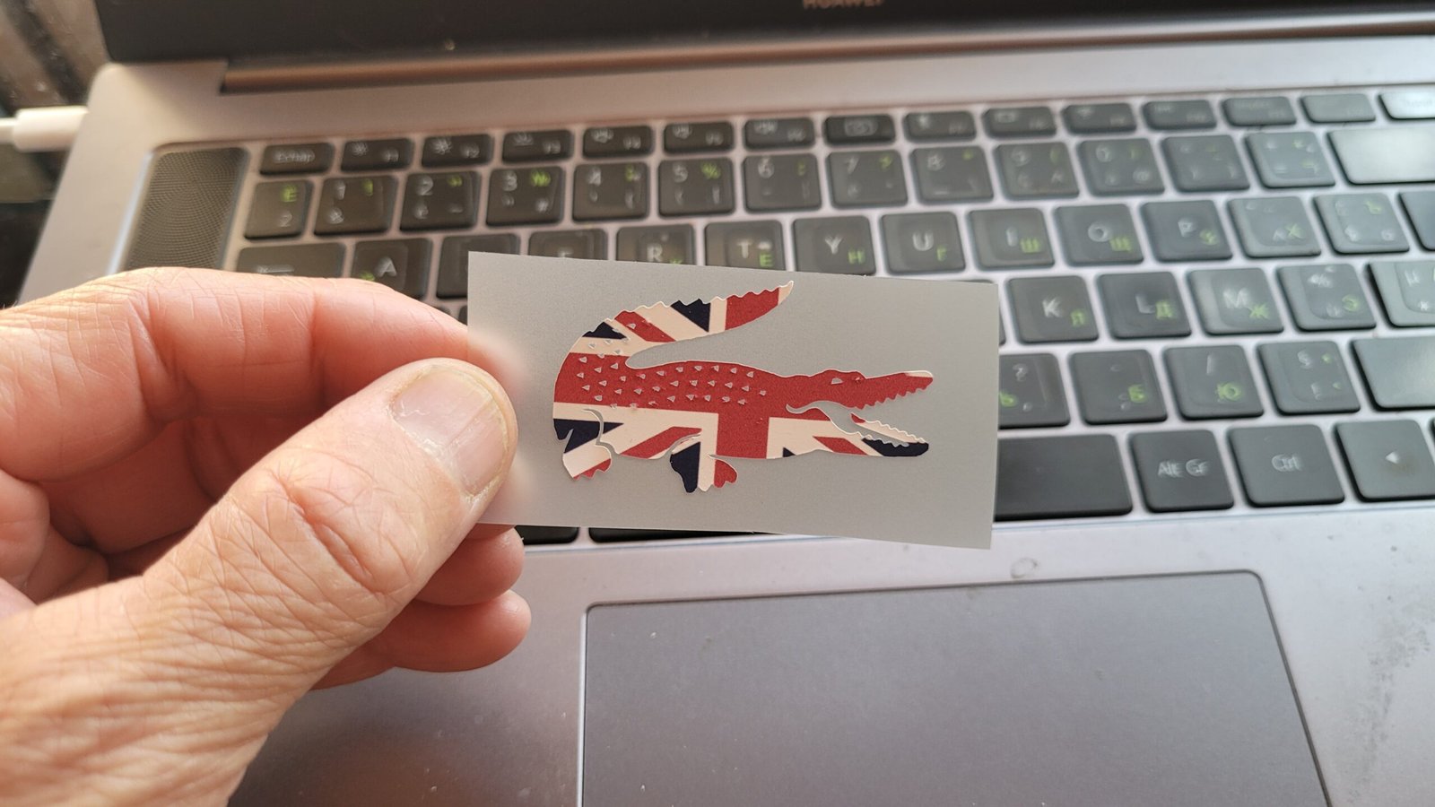 Lacoste flag colored Logo Iron-on (heat transfer) - Image 6