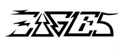 Eagles Logo Iron-on Decal (heat transfer)