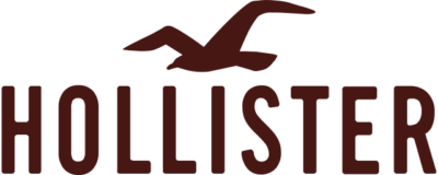 Hollister Logo Iron-on Sticker (heat transfer)