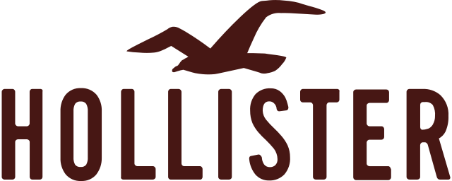 Hollister Logo Iron-on Sticker (heat transfer)