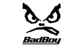 Bad Boy Logo Iron-on Sticker (heat transfer)