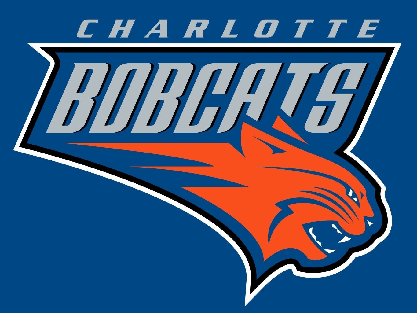 Charlotte Bobcats Color Iron-on - Heat Transfer Logo