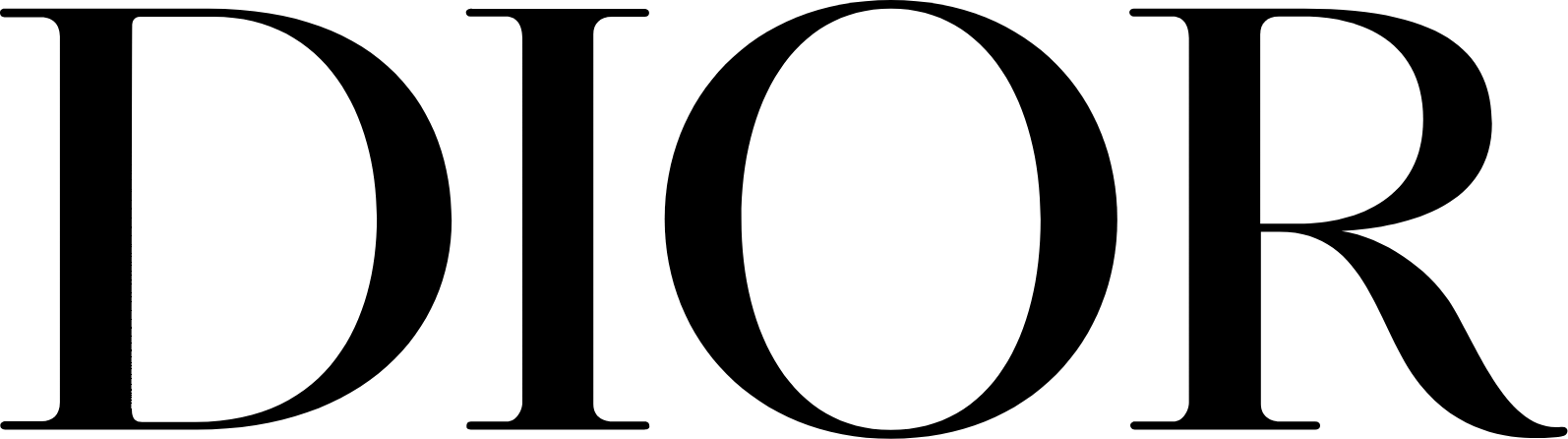 NEW Dior Logo Iron-on Sticker (heat transfer)