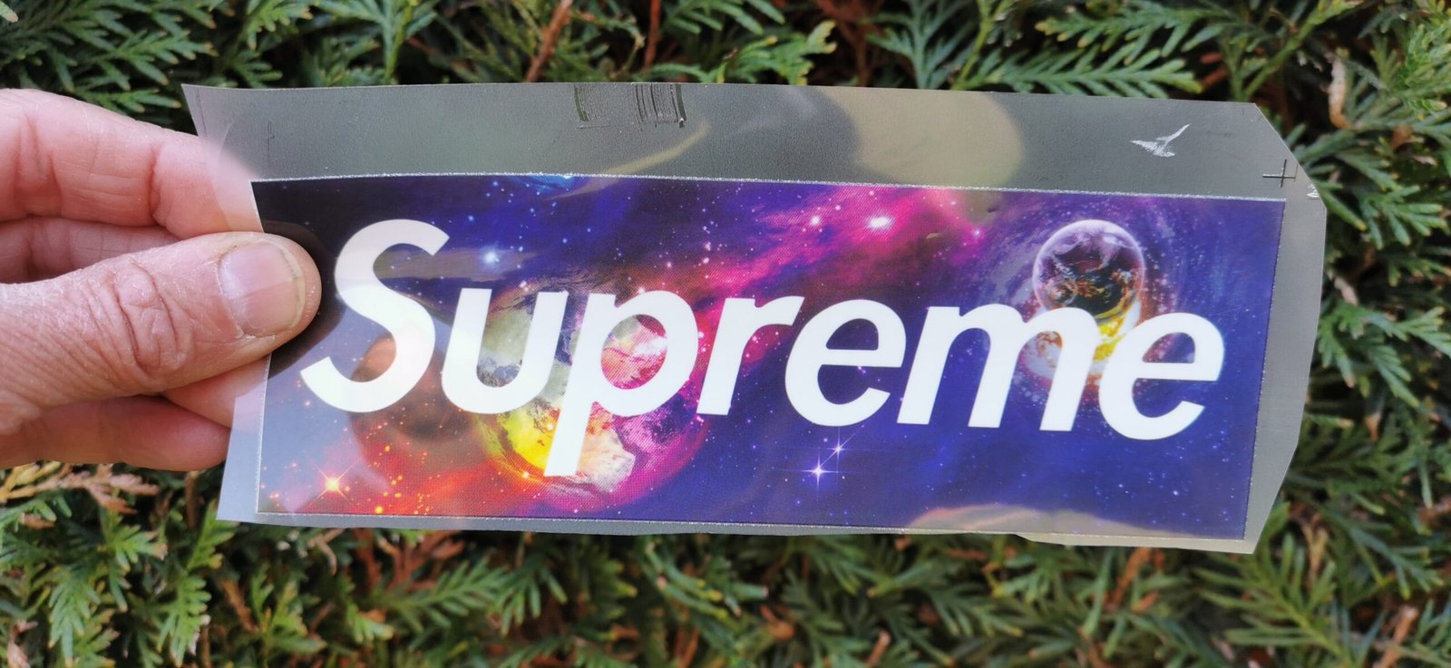 SALE ! Supreme Color Logo