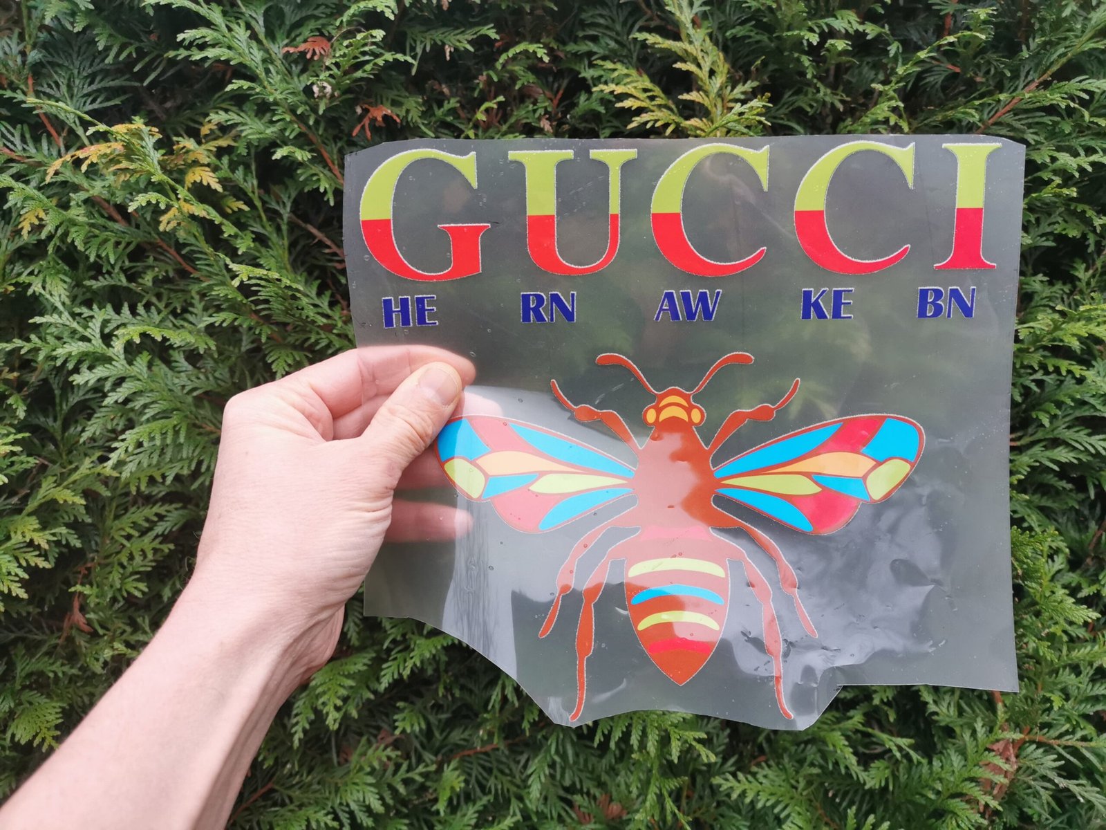 Gucci Bee Big Color Logo