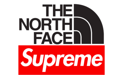 North Face x Supreme Logo Iron-on Sticker (heat transfer)