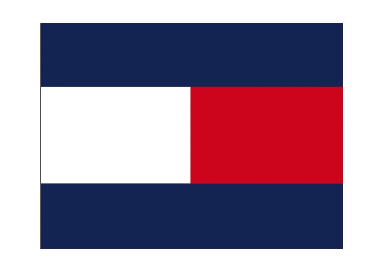 Tommy Hilfiger Logo Iron-on Sticker (heat transfer)