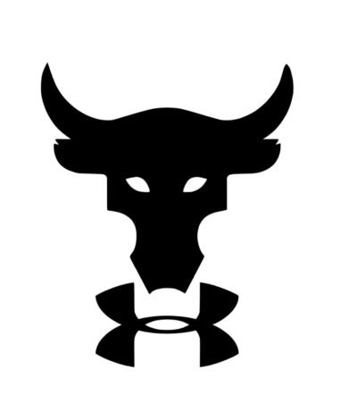 The Rock bull skull Under Armour Logo Iron-on Sticker (heat transfer)