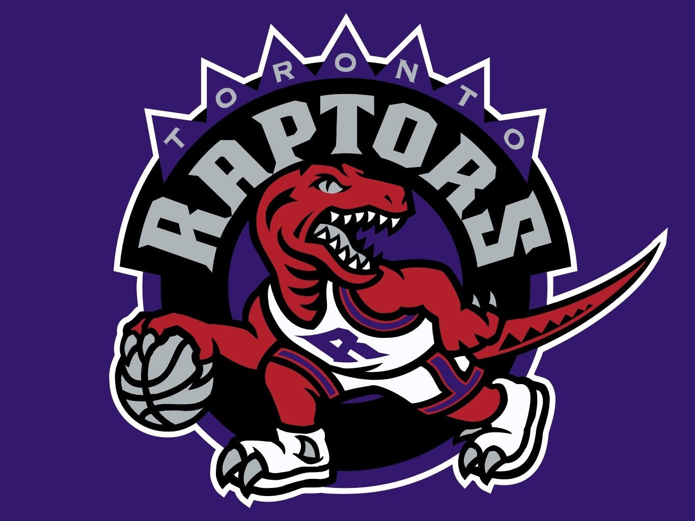 Toronto Raptors Color Iron-on - Heat Transfer Logo