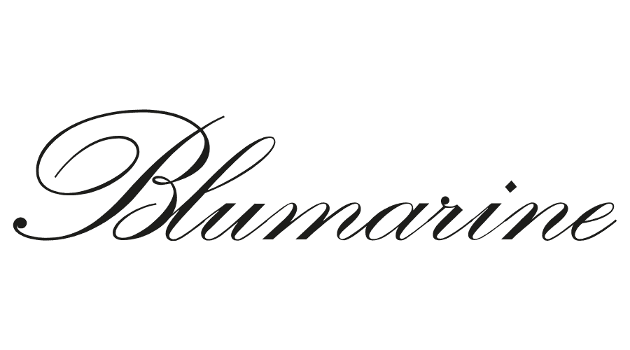 Blumarine Logo Iron-on Sticker (heat transfer)