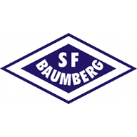 sportfreunde_baumberg iron-on transfer logo